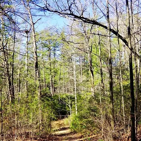 Ridge Retreat At Hearthstone Cabins And Camping - Pet Friendly Helen Exterior photo