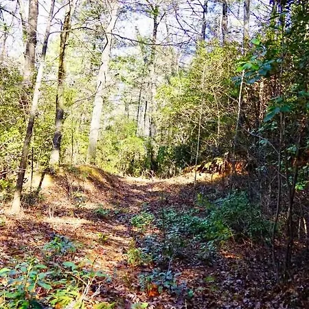Ridge Retreat At Hearthstone Cabins And Camping - Pet Friendly Helen Exterior photo
