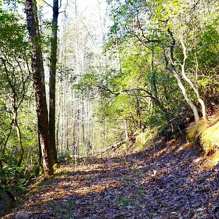 Ridge Retreat At Hearthstone Cabins And Camping - Pet Friendly Helen Exterior photo