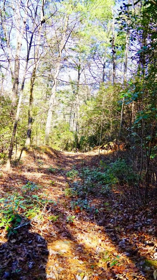 Ridge Retreat At Hearthstone And - Pet Friendly * Helen